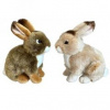 Zajačik 2 farby 23 cm 31136 Zajačik 2 farby 23 cm 31136