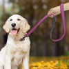Berry Dog Vodítko kožené pre psa L 120 cm ružové