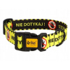 Textilný obojok pre psa Dingo veľ. M