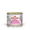 ROYAL CANIN BABYCAT MOUSSE 195g (ROYAL CANIN BABYCAT MOUSSE 195g)