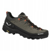 Salewa Alp Trainer 2 GTX hnedé