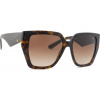 Dolce & Gabbana 0DG 4438 502/13 55