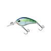 DAIWA - Wobler Steez Crank 100F SR Clear Monster Chart 5,4 cm 10,1 g