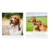 MFP 1061635 Kalendár 2026 nástenný malý Dogs