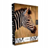 Karton P+P A4 Jumbo Zebra KT8-76923