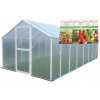 Fóliovník / Tunel 393 x 283 cm, 11,1 m2, priehľadný