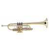 SOUNDSATION STPGD-10C