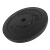 Kotouč litinový 10 kg TUNTURI