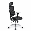 Kancelárska ergonomická stolička Diablo V-Basic, čierna