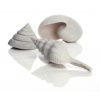 biOrb Sea Shells Decor set biele 12, 7, 5 cm