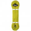 Beal Legend 8,3 mm 60 m barva green