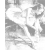 ZUTY Bodkovanie - BALETKA Rámovanie: vypnuté plátno na rám, Rozmer: 40x50 cm