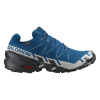 Salomon Speedcross 6 GTX M L47764900 - poseidon black/lunar rock 47 1/3