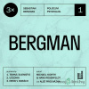 3x Bergman #1 - Hans Rosenfeldt, Michael Hjorth - online doručenie