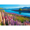 CASTORLAND Puzzle Jazero Tekapo, Nový Zéland 500 dielikov