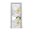 Samolepiace fototapety na dvere biela orchidea 75x205