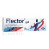Flector EP gél gel.der.1 x 60 g