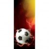 Dverová fototapeta - DV0652 - 3D futbalová lopta 91cm x 211cm - Samolepiaca fólia