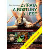 Zvířata a rostliny v lese - Wohlleben Peter