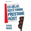 Co dělat když firma přestane růst - McKee Steve