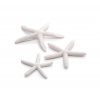 biorb Star Fish Decor set biela 12, 10, 8 cm