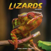 Lizards, 30,5 x 30,5 30,5 x 61 cm 2026