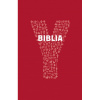 Y-BIBLIA (Biblia katolíckej cirkvi pre mladých)