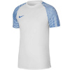 Tričko Nike Dri-FIT Academy Jsy SS M DH8031 102