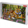 Tigerova rodina 1000 dielne puzzle - Trefl