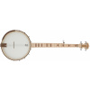 Deering Goodtime Americana