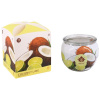 ARÔME Svíčka 90 g ve skle a flower boxu, Coconut Lime