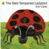 Bad-tempered Ladybird