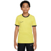 Tričko Nike Dri-Fit Academy 25 SS Jr FZ9758 719 S