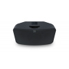Bluesound PULSE MINI 2i