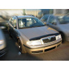 Škoda Octavia I 1996-2010 - kryt prednej kapoty Heko (nalepovací)