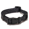 EXPLORER DOG Obojok Vrstevnica S - 24-36x1, 5 cm TED115