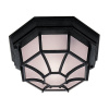Searchlight Vermont Outdoor Wall/Ceiling Light - Black Metal & Glass
