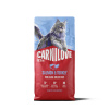 CARNILOVE ACTIVE Cat Dry Made with Salmon & Turkey for Adult Large Breeds 6 kg