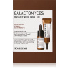 Some By Mi Galactomyces Brightening Trial Kit
