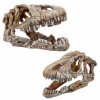 Tyranosaura lebka dinosaura VEĽKÁ 24 cm úkryt