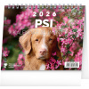 NOTIQUE Stolový kalendár Psy – s menami psov 2026, 16,5 x 13 cm