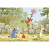 Disney FOTOTAPETA velikost: 368/254 cm - Online Only bytové doplnky - 003492011101