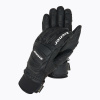 Pánske lyžiarske rukavice ZIENER Guard GTX + Gore Grip PR alpine black