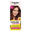 Palette Color Shampoo farba na vlasy mahagónový 5-8 1ks