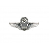 Odznak US Air Force - Pilot Master • mini