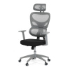 BONTEC Kancelárska stolička, hojdací mechanizmus, čierna, KA-K2081 BK Farba: Sivá