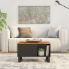 vidaXL Konferenčný stolík 60x50x35 cm masívne mangovníkové drevo - Hnedá - 82471-36855