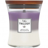 WOODWICK Trilogy Amethyst Sky 275 g