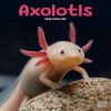 Axolotls, 30,5 x 30,5 30,5 x 61 cm 2026