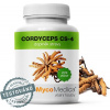 Cordyceps CS-4 90 kapslí - MycoMedica